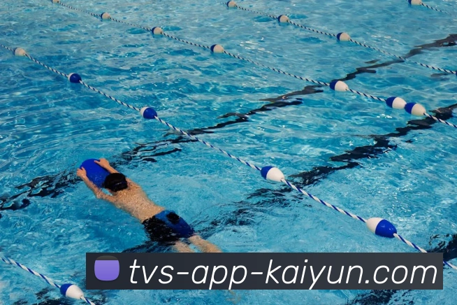 开云官网平台生态图