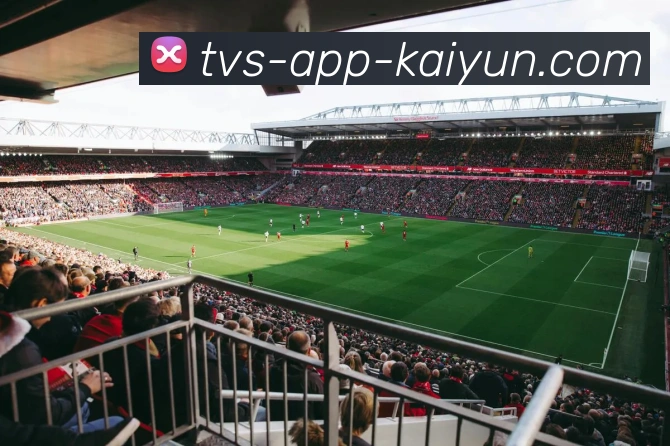 开云官网全站App